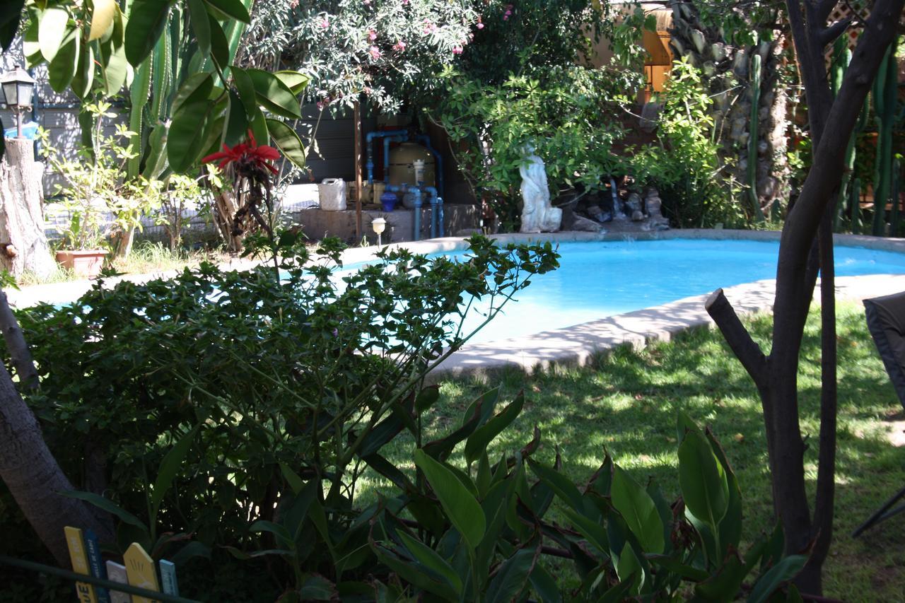 Tikay Suite Hotel Copiapó المظهر الخارجي الصورة