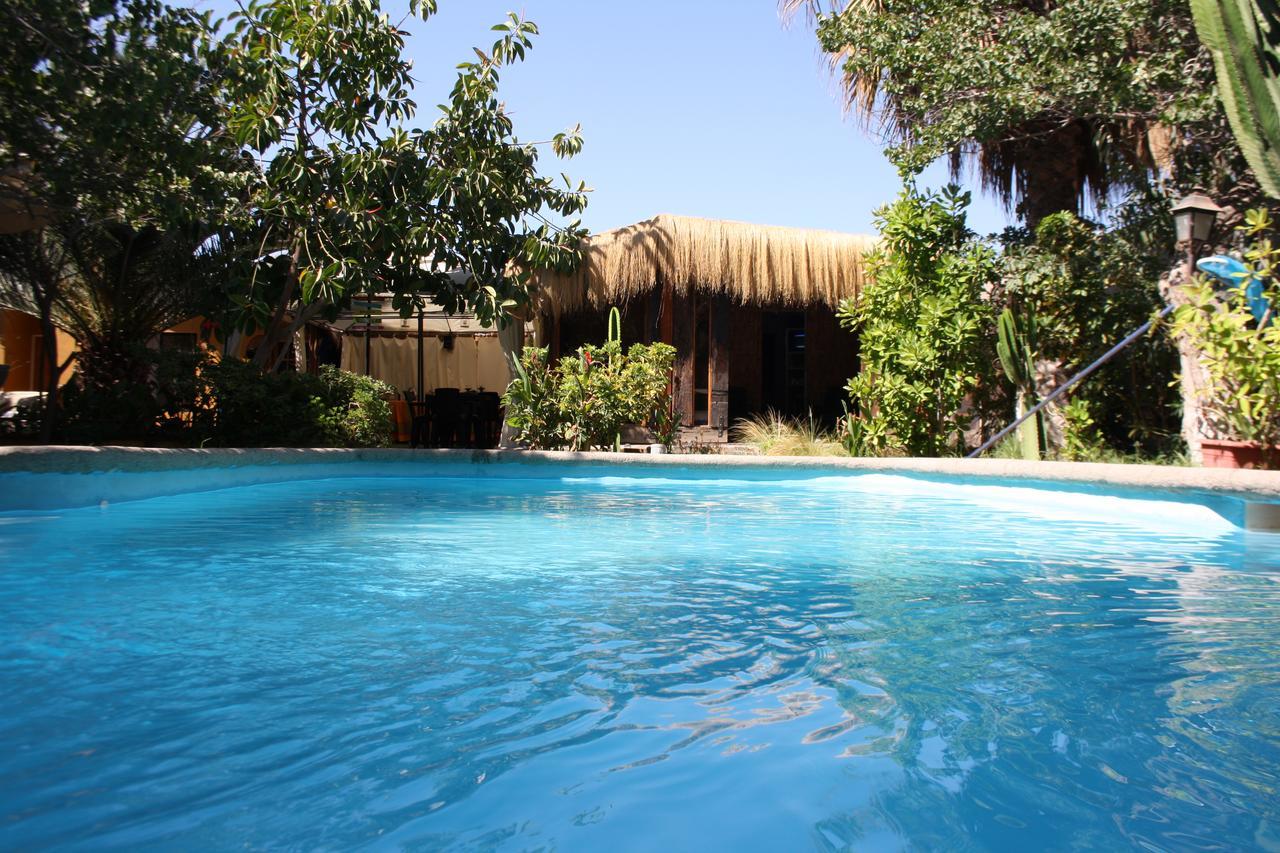 Tikay Suite Hotel Copiapó المظهر الخارجي الصورة